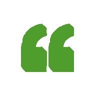 Green Quote Icon